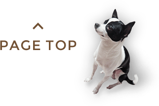 PAGE TOP
